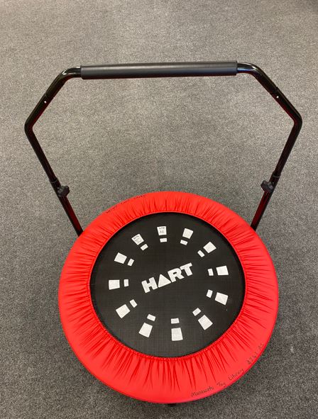 Mini Trampoline 